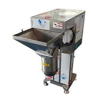 Machine industrielle d'extraction de jus de fruits, machine commerciale pour pulpe de mangue, extracteur de jus