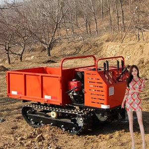 Dumper de brouette de roue de puissance de rotation facile pour charger le dumper de buggy, - Product Image 3