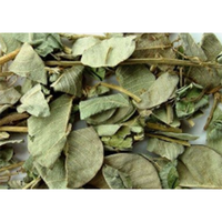 Poudre d'extrait de Desmodium Styracifolium naturel 10:1
