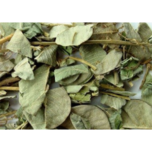 Extracto Natural de Styracifolium <span class=keywords><strong>Desmodium</strong></span> en polvo 10:1 - Product Image 2