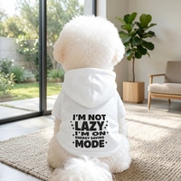 Sweat-shirt à capuche pour chat et chien, esthétique et mignon, avec imprimé créatif, en polyester respirant et facile à laver, tenue pour animaux de compagnie