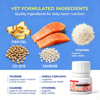 Suplemen Nutrisi Hewan Peliharaan Waylemo, Suplemen Vitamin Hewan Peliharaan, Tablet Multivitamin Anjing Kucing, Dukungan Kesehatan Harian, OEM
