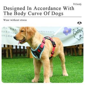 Rarewe Fournitures pour animaux de compagnie Ensemble <span class=keywords><strong>laisse</strong></span> <span class=keywords><strong>et</strong></span> harnais pour <span class=keywords><strong>chien</strong></span> Fabricant Logo de marque personnalisé Harnais de luxe sans traction pour chiens de taille moyenne <span class=keywords><strong>et</strong></span> grande - Product Image 2