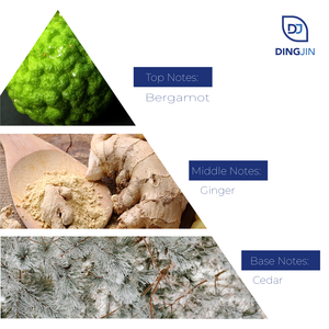 Concentré de parfum inspiré de l'<span class=keywords><strong>imagination</strong></span>, marque en vrac, dupe original, huile de parfum <span class=keywords><strong>pure</strong></span> longue durée, fragrance - Product Image 2