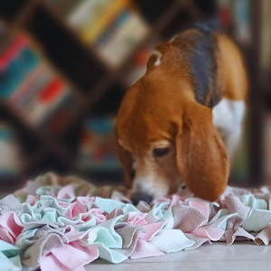 Alfombra olfativa para perros, manta de entrenamiento olfativo, almohadilla para olfatear, comedero lento para alimento, alivia el estrés, serie de huesos. - Product Image 6