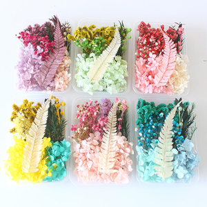 Flores Secas Mixtas en Caja para Manualidades, Decoración, Plantas Secas Eternas para Accesorios de Bricolaje, Joyería y Manualidades - Product Image 2