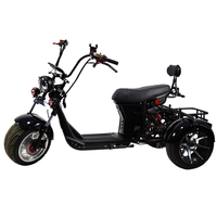 Triciclo Eléctrico Loyal de 3 Ruedas, Motocicleta Eléctrica de 3 Ruedas y Bicicleta Eléctrica de 3 Ruedas, Triciclo de 4000w, Bicicleta Eléctrica Citycoco de 3000w