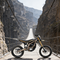 Meilleur Prix 2026 74V 24.5kW 95km/h Desert Mountain Racing Chargeur Rapide 2026 Ultra Bee