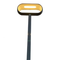 Corps en aluminium Lampadaire LED étanche pour parcs, cours et routes Extérieur Alimentation AC IP65
