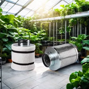 Accessori di ventilazione del filtro al carbonio di alta qualità per idroponica agricola per uso domestico