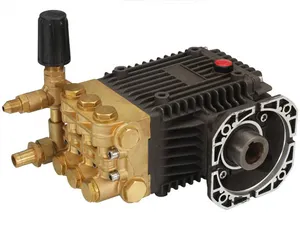 1500 Psi 100bar 18lpm 4.0KW high pressure pump Water Pump Triplex Car Washer High Pressure Cleaner pump