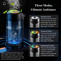 Humidificateur d'air à l'ozone pour voiture et petites pièces avec fonction de purification à l'ozone 2 en 1