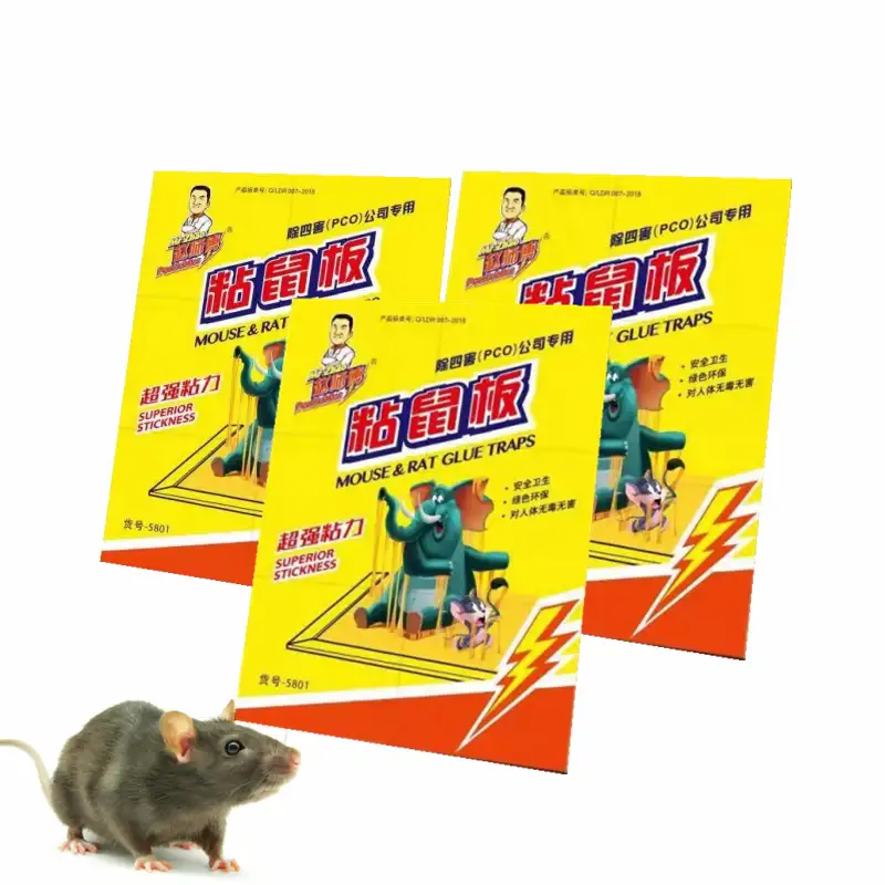 Planche à colle créative anti-souris, adhésif, très résistant, piège à colles pour le contrôle des souris efficaces, bonne efficacité en usine, piège à lézard