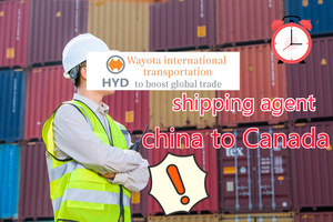Supply Chain Logistics Solutions | Logística Global e Supply Chain Management | Shipping <span class=keywords><strong>Agent</strong></span> - Shenzhen Xingyuan Supply Chain - Product Image 6