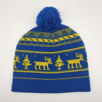 Chapeau d'hiver en tricot en gros avec étiquette tissée personnalisée, bonnet en tricot, broderie plate avec pompon en fourrure