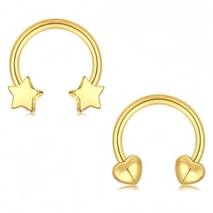 Anneau de nez en forme de fer à cheval en acier inoxydable, bijoux de piercing unisexe, cadeau pour ornement de septum, DQ00076 - Product Image 1