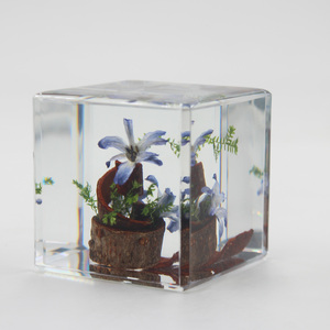 Artesanías puramente hechas a mano Animal <span class=keywords><strong>Panda</strong></span> flor seca resina Rectangular adorno cúbico pisapapeles adornos para decoración de coche - Product Image 6