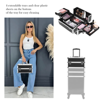 Valise de maquillage professionnelle à roulettes pour artiste maquilleur, boîte de rangement cosmétique roulante pour voyage