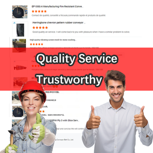 حزام سير مطاطي مسطح من النايلون عالي الكفاءة EP1000/4 ، سرعة قابلة للتعديل/تفريغ لولبي سلس للبيع بالتجزئة - Product Image 6