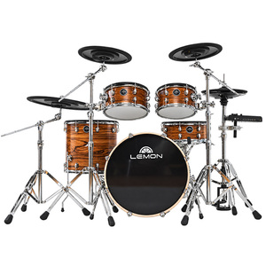 Lemon <strong>Drum</strong> T1000 Full Size Acoustic <strong>Drum</strong> <strong>Kit</strong>(Available for Customization) - Product Image 4