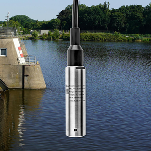 Sensore di Livello Sommergibile RKL-01 ad Alta Precisione 4-20mA/0-5V/RS485 IP68 in Acciaio Inox 316L/304 per Serbatoi d'Acqua - Product Image 6