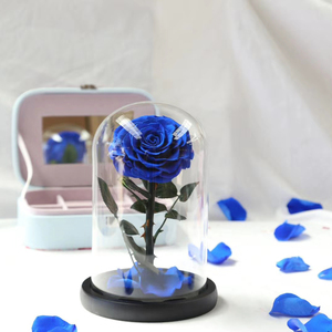Rose enchantée en gros, <span class=keywords><strong>La</strong></span> <span class=keywords><strong>Belle</strong></span> <span class=keywords><strong>et</strong></span> <span class=keywords><strong>la</strong></span> Bête, fleurs conservées dans un bocal en verre - Product Image 1