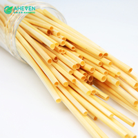 Nouvelles idées de produits : Pailles jetables biodégradables en paille de riz et de blé