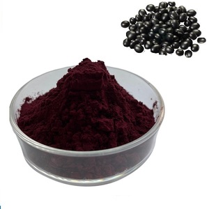 Extracto de cáscara de frijol negro en polvo de antocianina pura de pigmento Natural más vendido 25% Extracto de frijol negro de antocianina a granel - Product Image 1