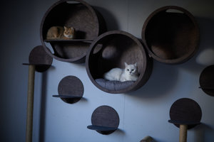 Venta al por mayor de muebles de estantes de pared para gatos hamaca cama gato para la pared SET CASAS para gatos, muebles modernos - Product Image 5