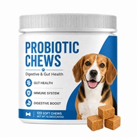 Probiotiques pour chiens OEM avec friandises à mâcher prébiotiques, friandises probiotiques pour chiens avec enzymes de citrouille, prébiotiques, santé intestinale, système immunitaire