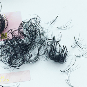 Dragon New 5D 500 Fans Eyelash Extensions Pointed Premade Loose Fan Lashes Wispy Matte Black Lash Vendors for Eyelash Extensions - Product Image 4