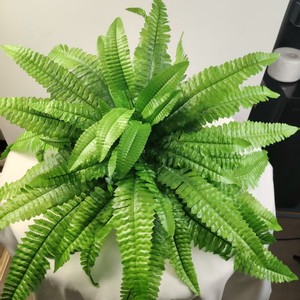 Plantas Artificiales de Hierba Persa Verde Ecológicas de Alta Calidad para Decoraciones del Día de San Valentín - Product Image 3