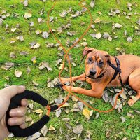 Câble de laisse pour chien en cuir et polyester de haute qualité, robuste, 50 pieds, système de traction rapide, en caoutchouc et nylon, pour le camping