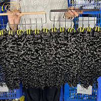 Lots de Cheveux Humains Vierges Non Transformés 10-30 Pouces Style Bouclé Birman Origine Vietnamienne Extensions de Cheveux Humains Bouclés Birman