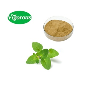 Tự nhiên Ocimum sanctum chiết xuất bột thánh Húng quế chiết xuất - Product Image 2