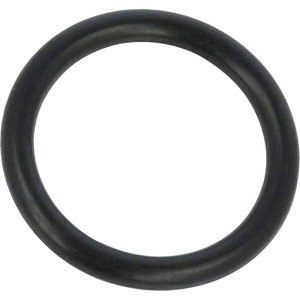 23,00X3,60 Junta tórica para herramienta de torneado - Product Image 2