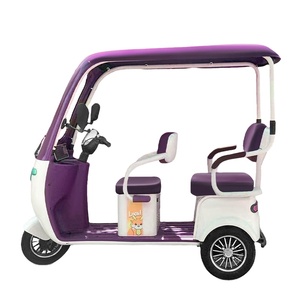 Triciclo Eléctrico Plegable Fanlin 2026 de 1000W y 60V para Adultos, Novedad, 3 Velocidades, Bicicleta Eléctrica de Carga con Batería de Plomo-Ácido Abierta - Product Image 4