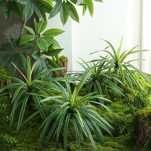 Hojas Verdes Artificiales Ecológicas Personalizadas, Plantas de Aloe <span class=keywords><strong>Vera</strong></span> y Dracaena para Decoración del Hogar, Bodas, Navidad, Escaparates de Centros Comerciales - Product Image 4