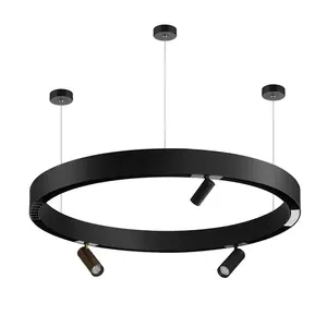 The Best-selling High-quality Indoor Nordic Creative Circle Ring Pendant Light DC48V Magnetic Magnet Ring Chandelier