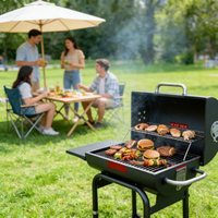 Barbecue moderne en acier inoxydable, pliable, réglable, empilable, double face, avec allumage piézoélectrique, chariot, pour 5+ personnes, extérieur