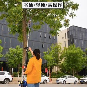 Gergaji rantai bensin jangkauan panjang <span class=keywords><strong>2</strong></span>,8M, 25,6cc 1,0KW untuk pemangkasan cabang/pohon tinggi, pengapian CDI, 650ml, Gergaji rantai profesional untuk berkebun - Product Image 3