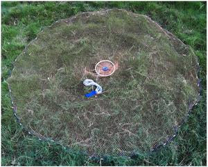 Atarrallas Tarrafa Ppara Pesca,ตาข่ายหล่อแบบอเมริกันสำหรับตกปลาทำจากไนลอนราคาถูก - Product Image 5