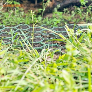 Nóng bán sinh thái HDPE thấm cỏ Lưới HDPE lồng vào nhau tổ ong đá cuội cỏ Turf nhựa khuôn paver cỏ lưới - Product Image 3