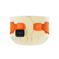 Compresse chaude coussin menstruel et taille masseur ceinture ABS matériel Vibration Fitness crampe chaleur masseur pour période soulagement de la douleur ABS