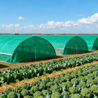 Groene HDPE schaduwnet 35%-95% schaduwpercentage 4x100m UV-beschermd voor kas, boerderij, groenten, planten, zonwering