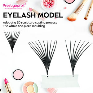 Prêt à expédier : Kits de formation en greffe de <span class=keywords><strong>cils</strong></span>, modèles de <span class=keywords><strong>cils</strong></span> pour les institutions, <span class=keywords><strong>cils</strong></span> pour l'enseignement, démonstration, présentoir de magasin de <span class=keywords><strong>cils</strong></span> - Product Image 1