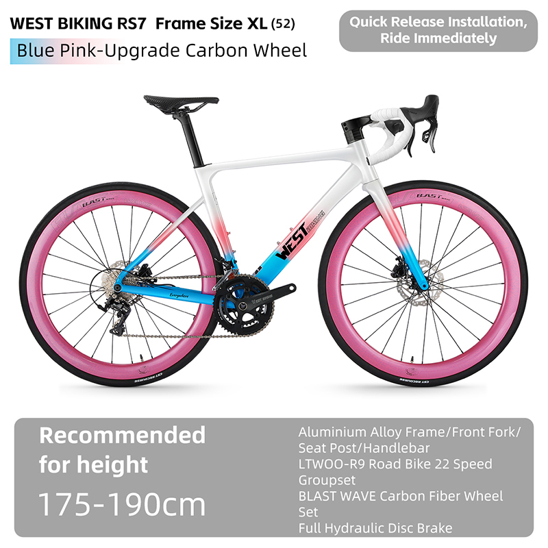 Roue bleu rose-carbone-XL