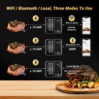 Termómetro Digital Inalámbrico Inteligente SEB con Doble Sonda, Bluetooth y WiFi, Monitoreo Remoto, Accesorios para Parrilla de Barbacoa