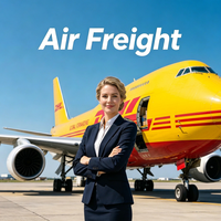 Agente Profesional de Transporte Aéreo Rápido, Envío Exprés de Carga desde China a Todo el Mundo, Servicios de Logística Internacional