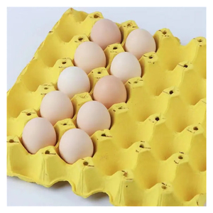 高速废纸回收全自动纸浆模塑蛋托制造机价格优 - Product Image 6